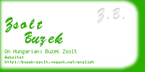 zsolt buzek business card